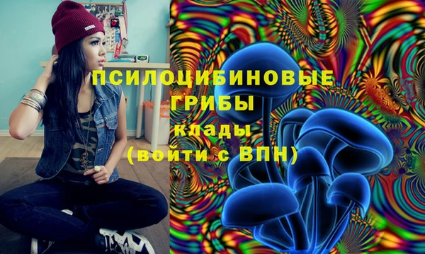кокаин премиум Козельск