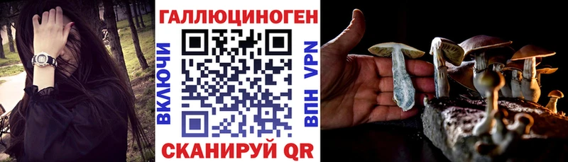 Купить где  Вичуга  Псилоцибиновые грибы Cubensis 